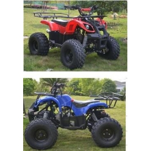 CE MINI KIDS ATV QUAD 110CC with reverse