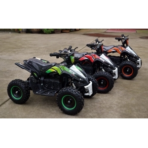 Quality 500W/800W Electric ATV Kids Quad Bike with reverse
