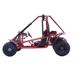 Dune Buggy Two Seat Go Kart 150/200/250cc